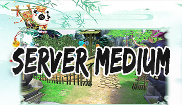 SERVER MEDIUM!